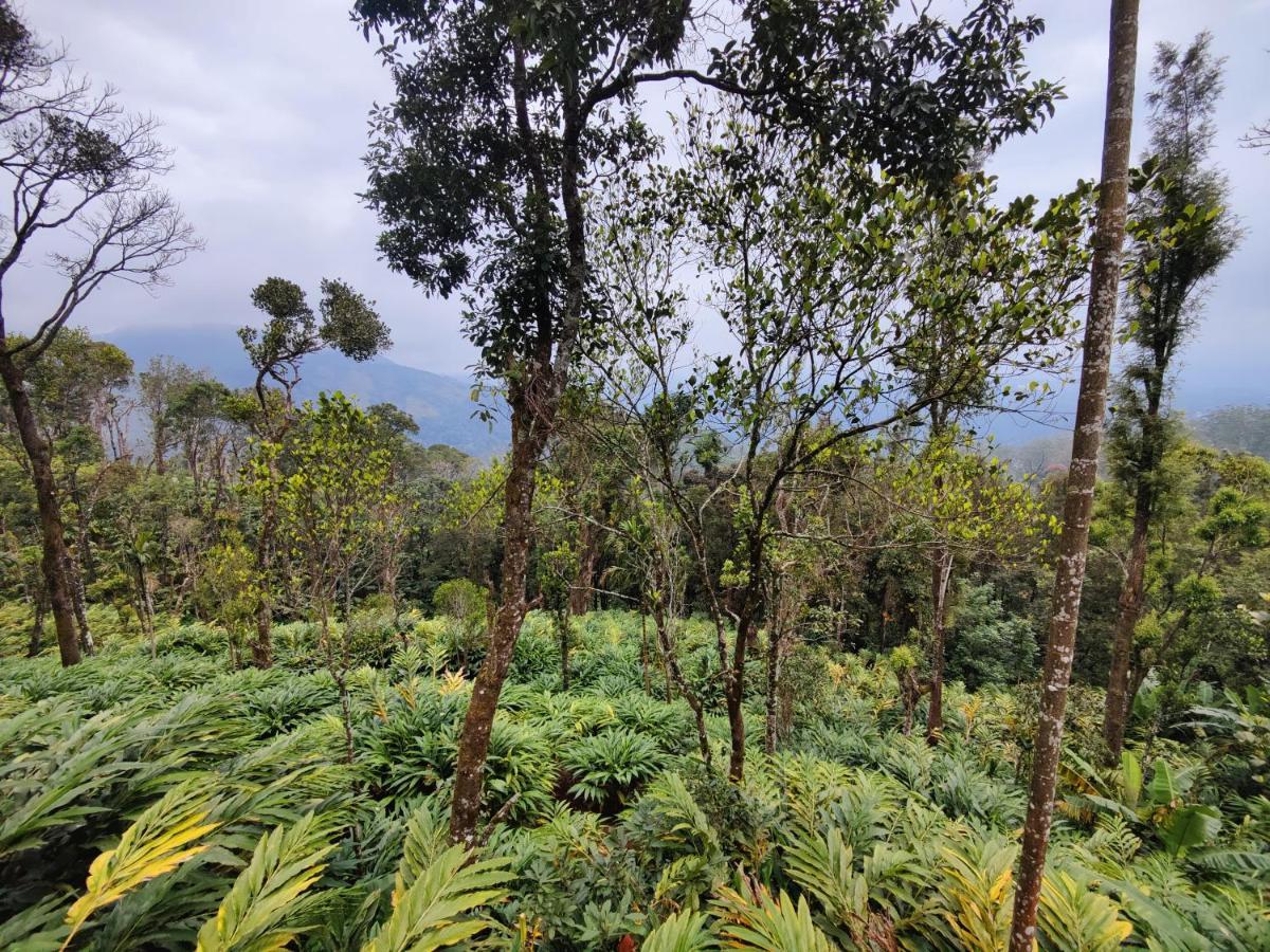 Munnar Home Stay Teadrops Plantation Villa Exterior photo