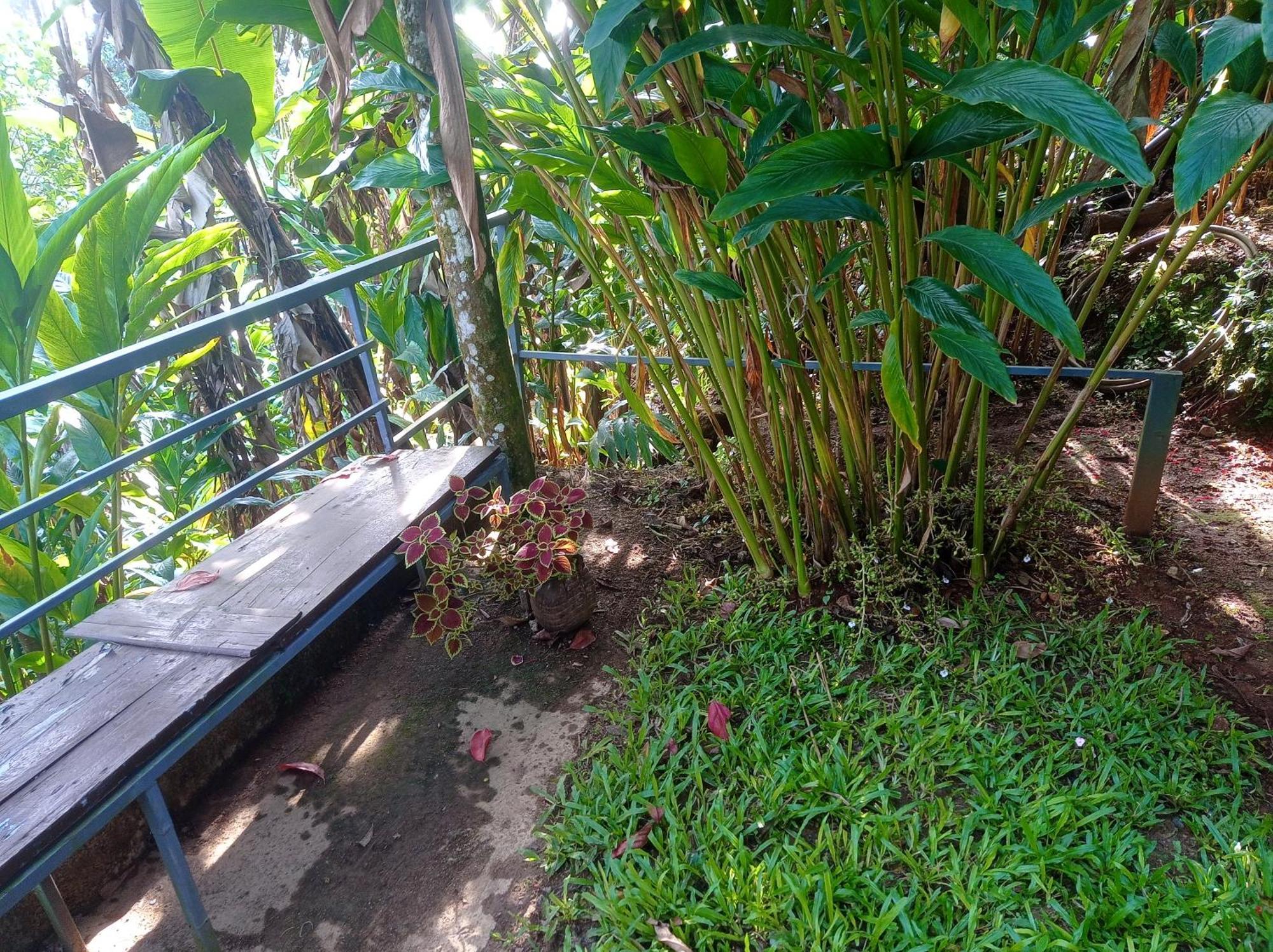 Munnar Home Stay Teadrops Plantation Villa Exterior photo